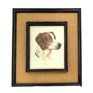 Dog Print Brittany Spaniel Portray Framed Vintage Art Decor